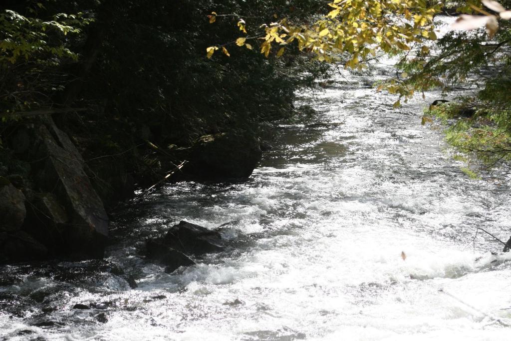 Oakview Lodge & Marina Algonquin Highlands Εξωτερικό φωτογραφία