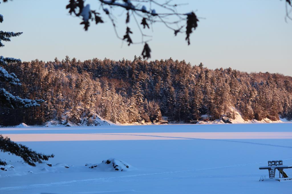 Oakview Lodge & Marina Algonquin Highlands Δωμάτιο φωτογραφία